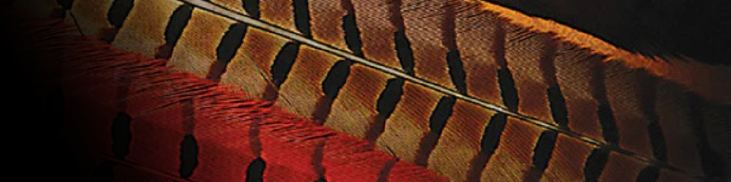 Capes, Saddles & Necks