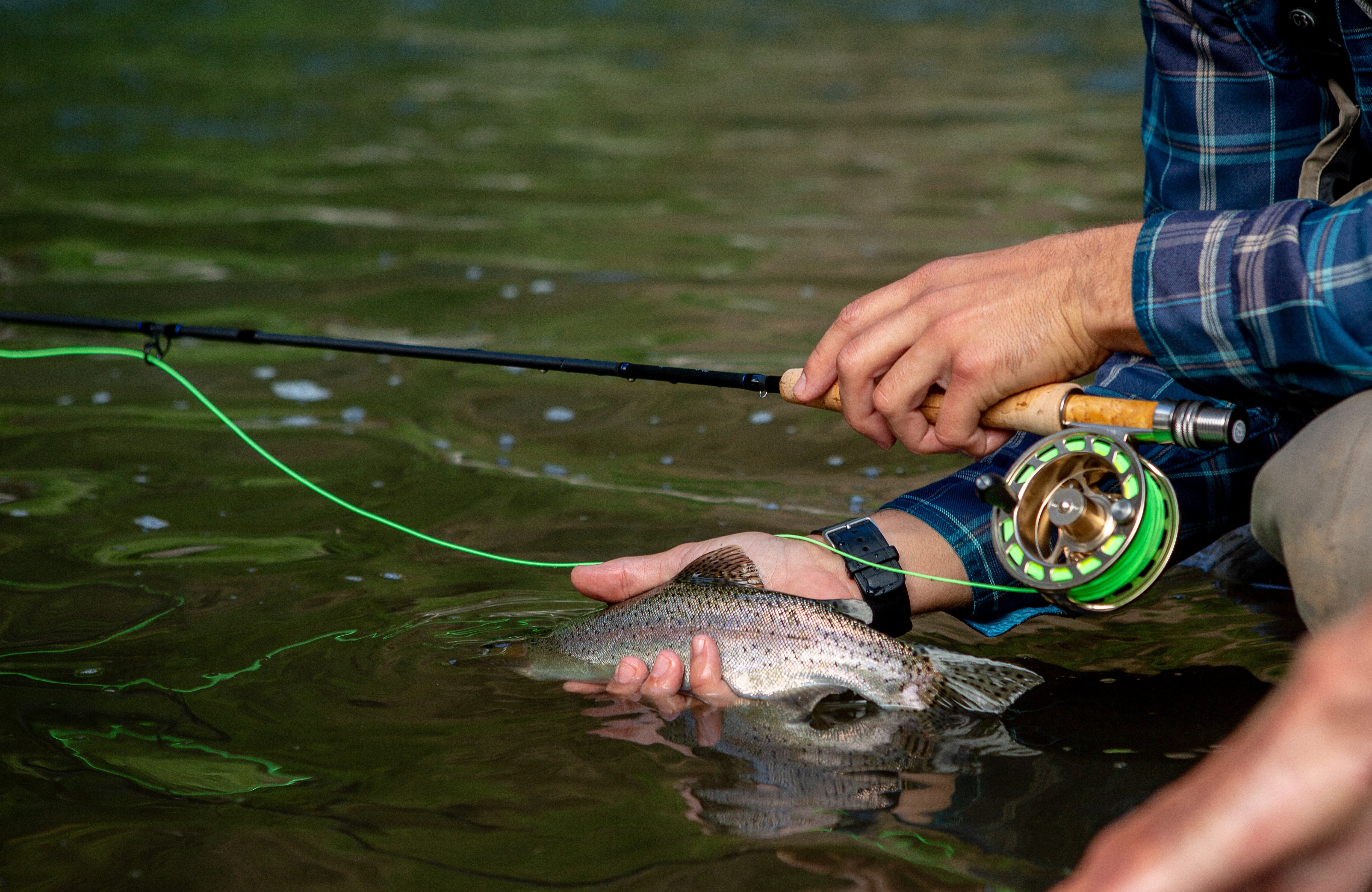 その他 FLY shop The Fly Shop Reels
