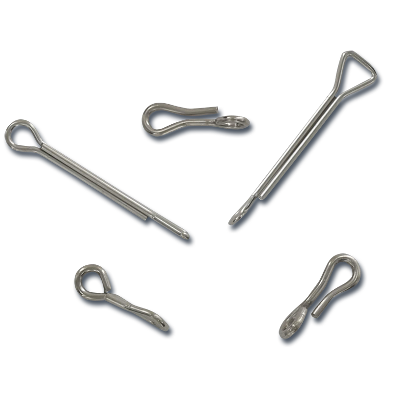 Articulated Fish Spines