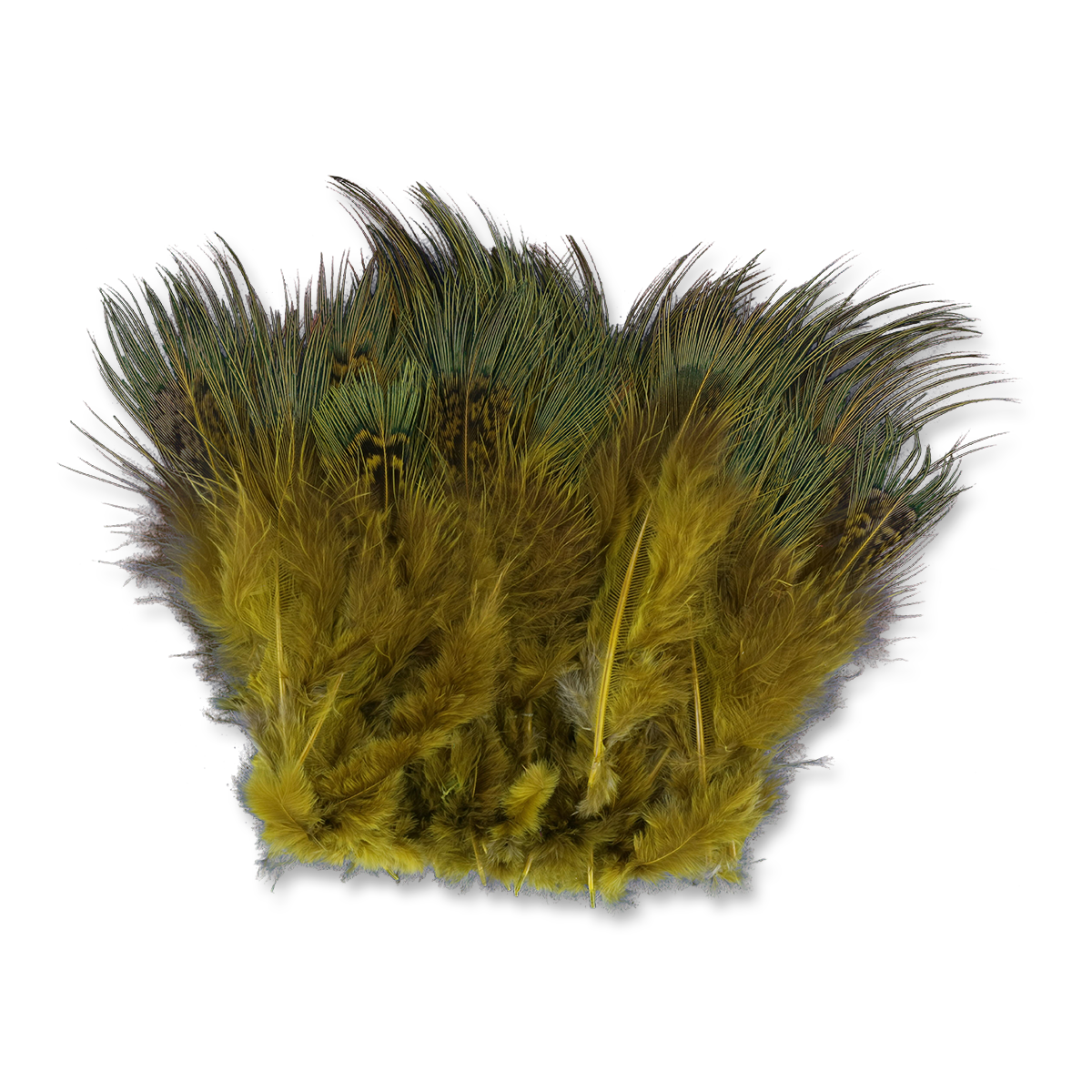 Strung Ringneck Pheasant Rump