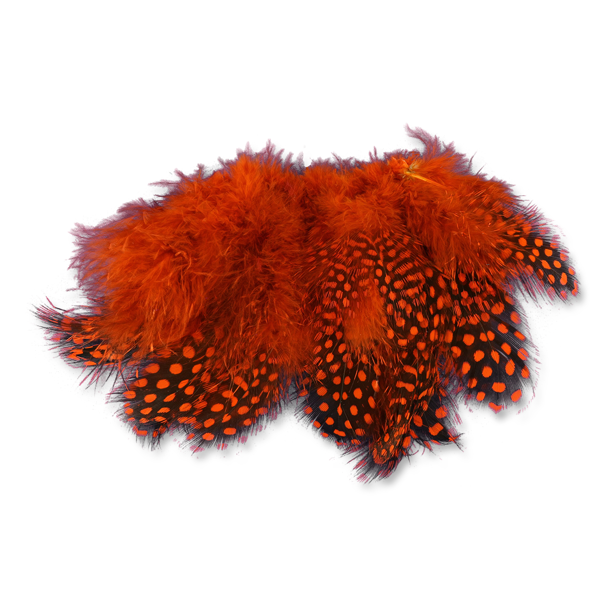 Select Guinea Body Feathers