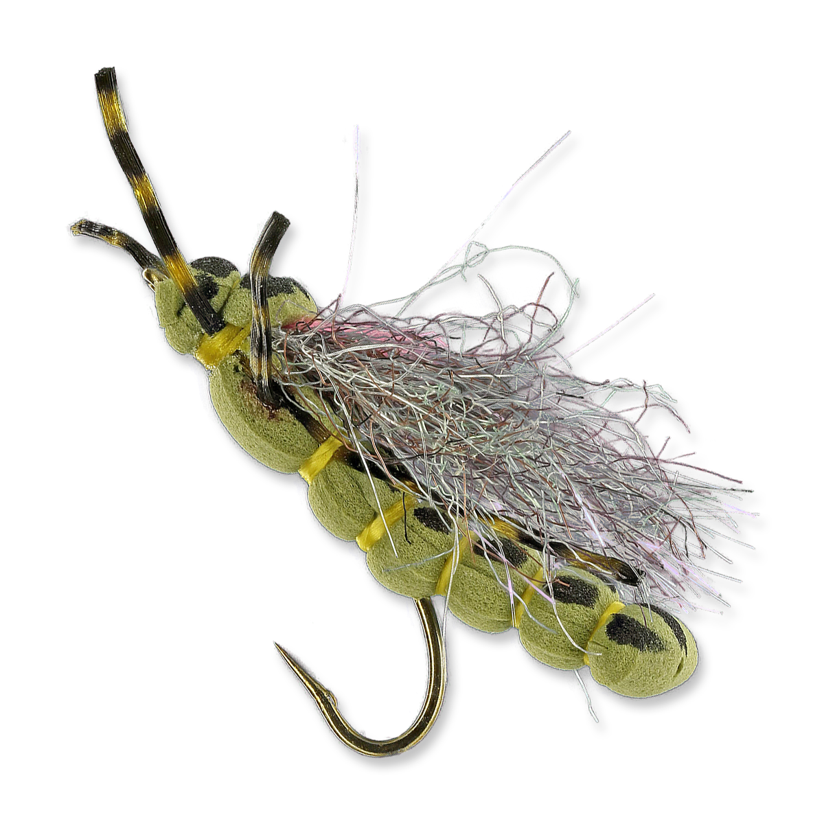 Morning Wood Special