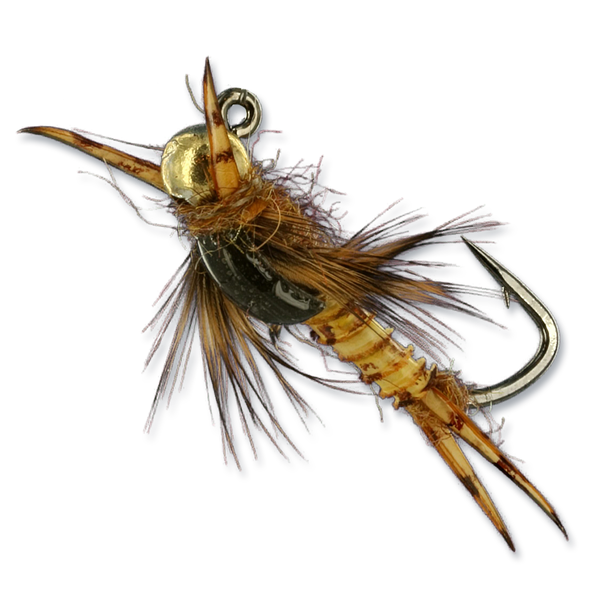 Jigged Poxyback Stone