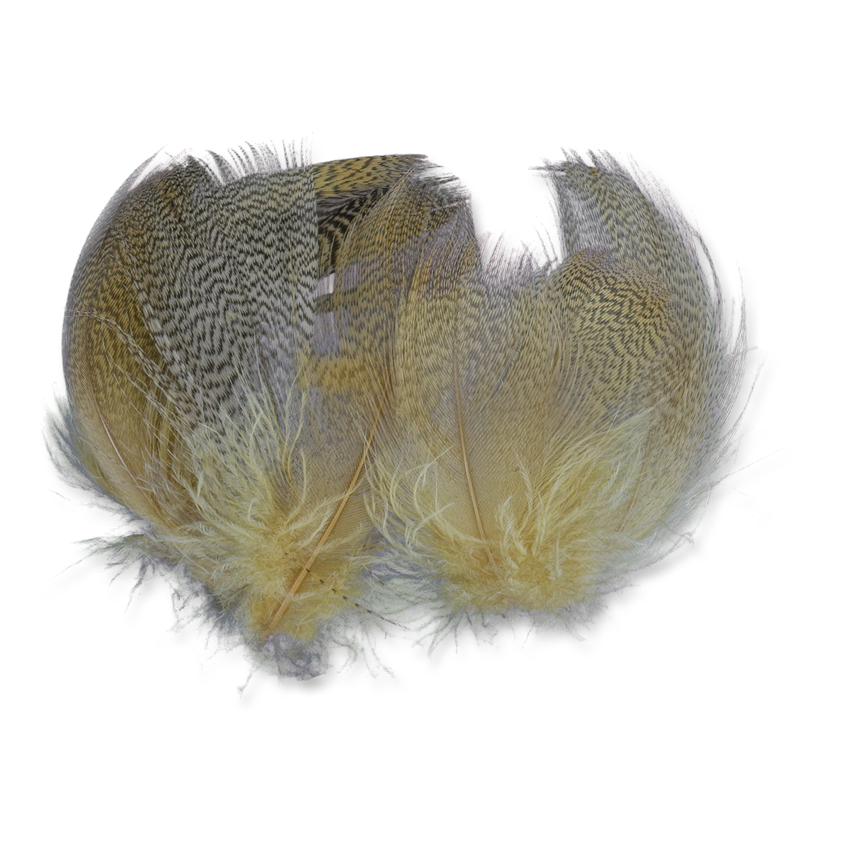 Select Mallard Flank