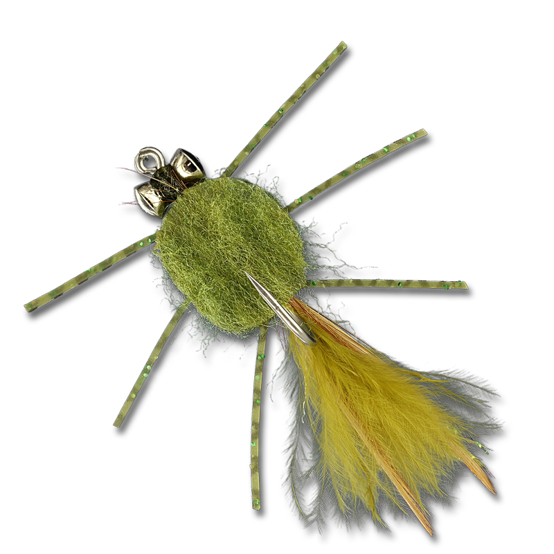 The Raghead Crab (Isley's)