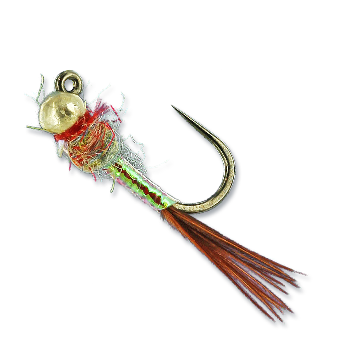 Jigged Rainbow Warrior