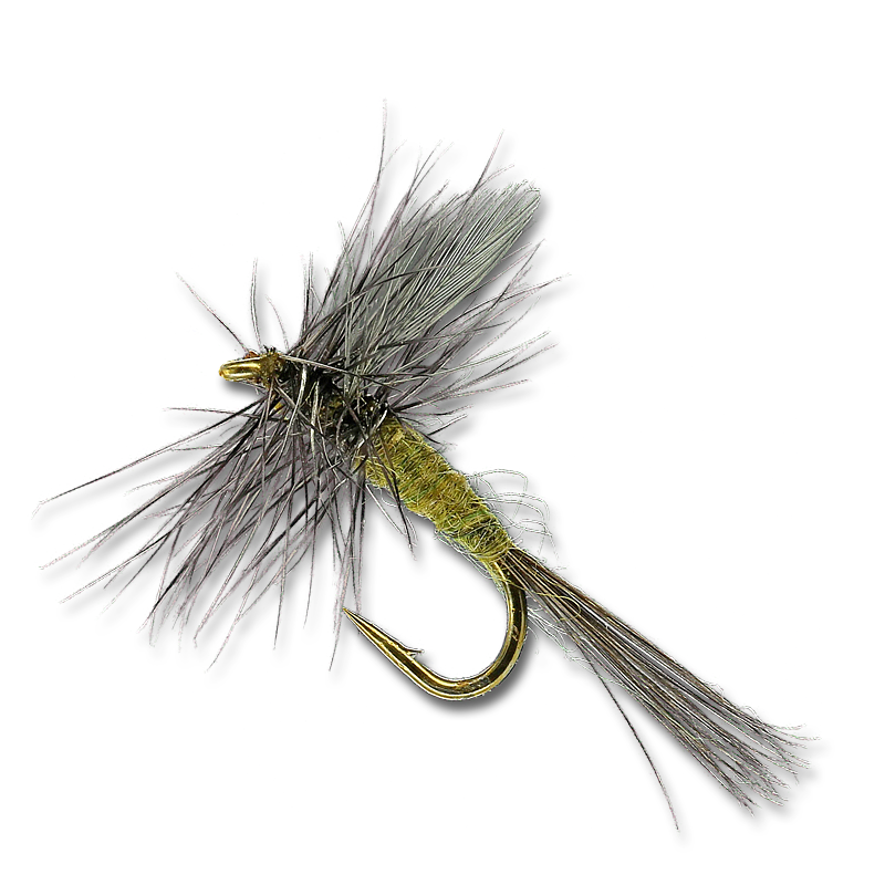 Blue Wing Olive