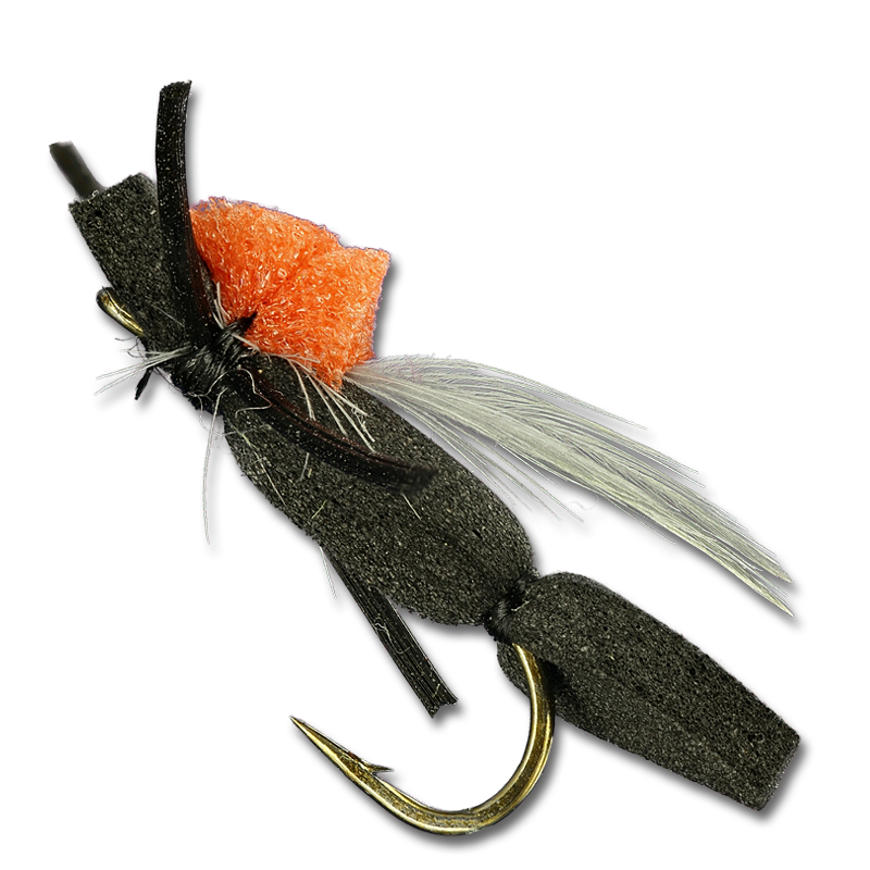 Carl's Foam Ant
