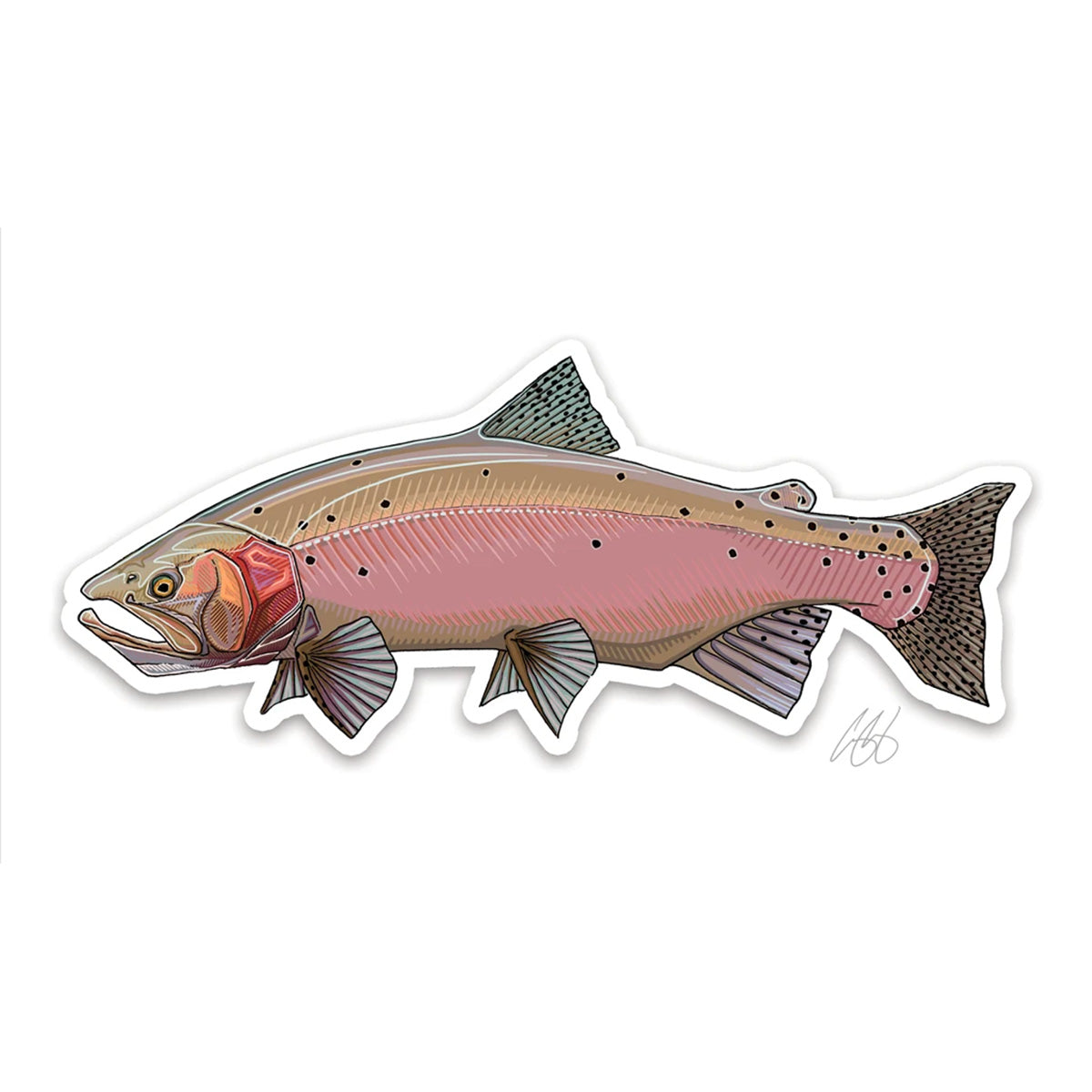 Casey Underwood Fish Decals