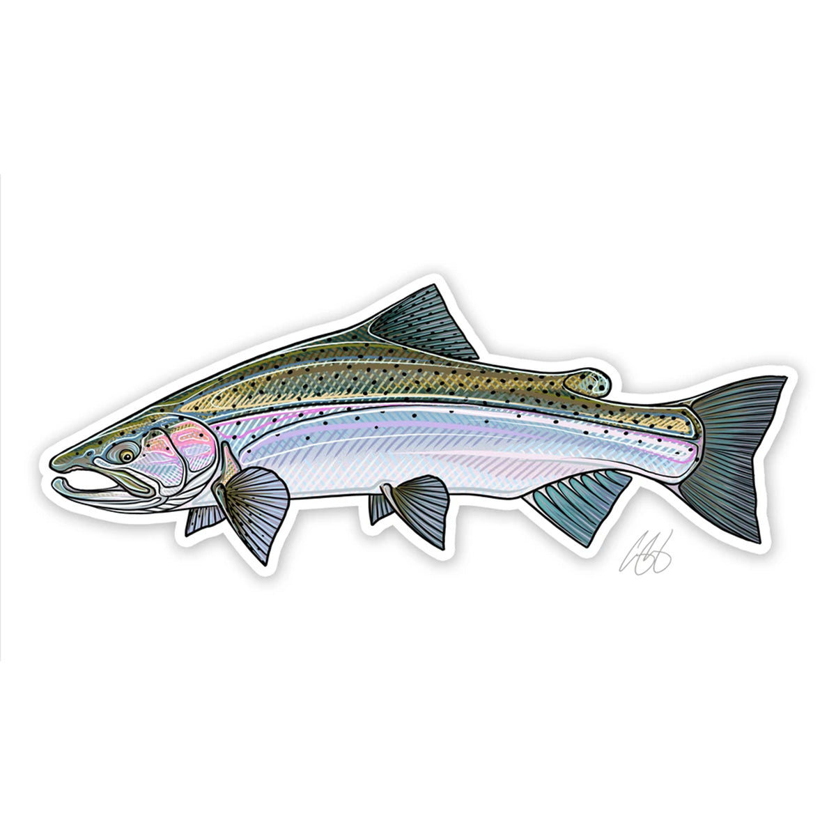 Casey Underwood Fish Decals