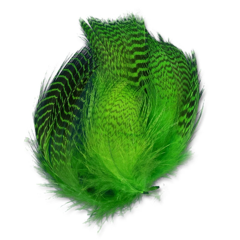 Natural and Dyed Teal Flank