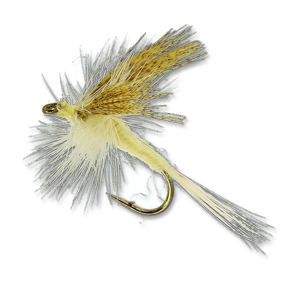 cahill fly rod and reel outfit Light This is the finest Species:Crappie Amazon Best Sellers: Best spring