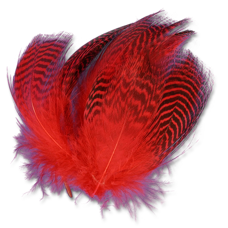 Natural and Dyed Teal Flank