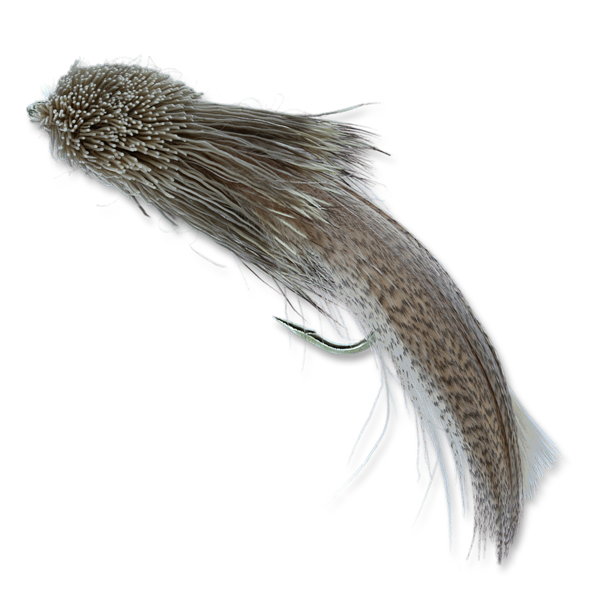 Galloup's Zoo Cougar - #4