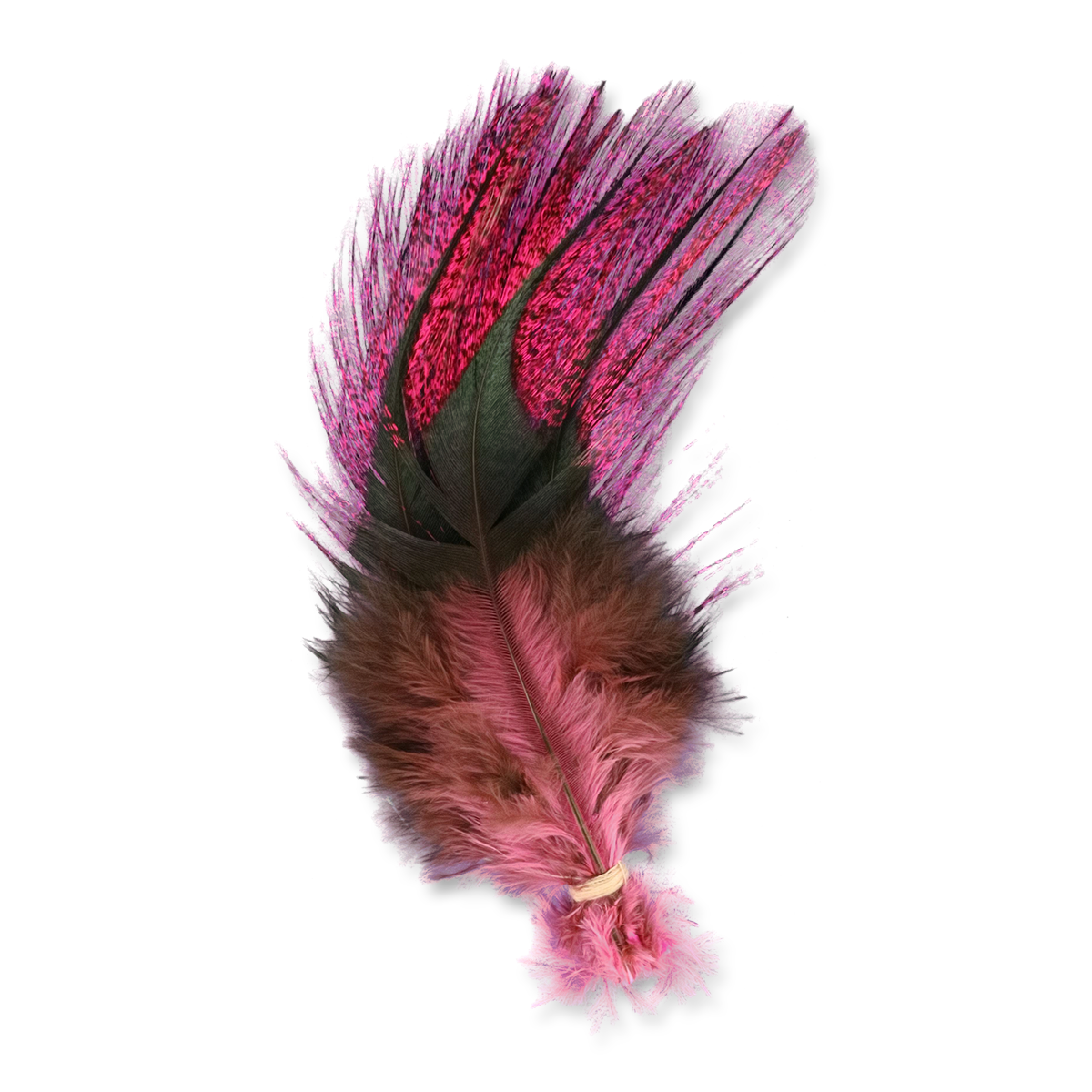 UV2 Coq De Leon Fire Tail Feathers