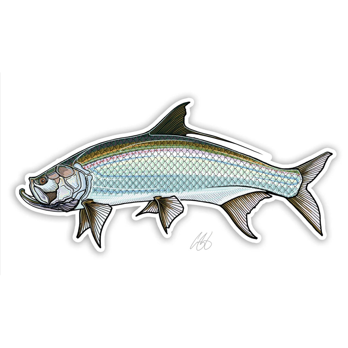 Casey Underwood Fish Decals