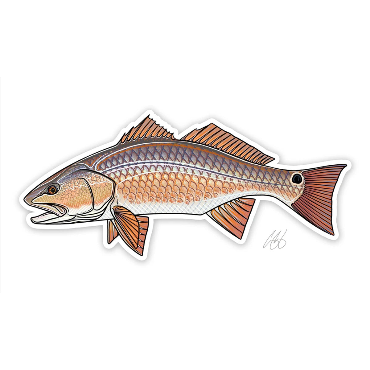 Casey Underwood Fish Decals