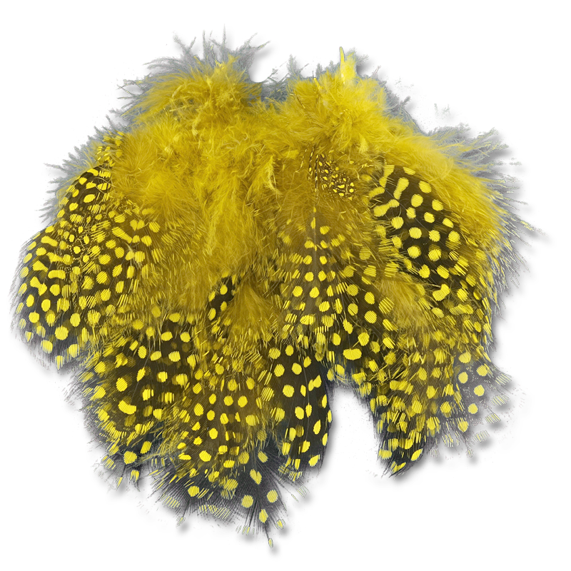 Select Guinea Body Feathers