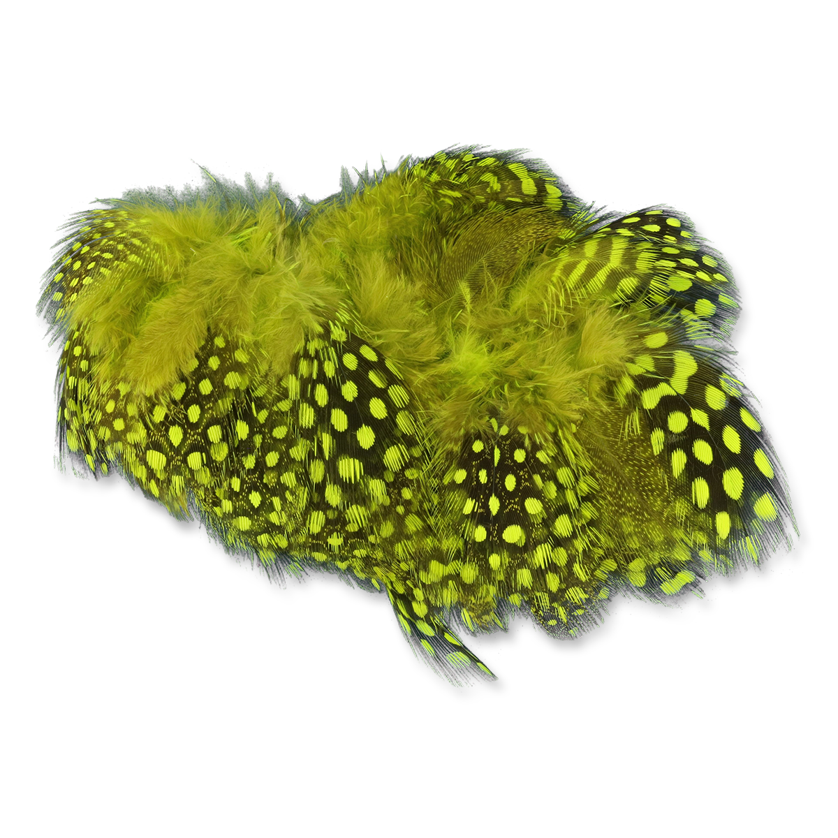 Select Guinea Body Feathers