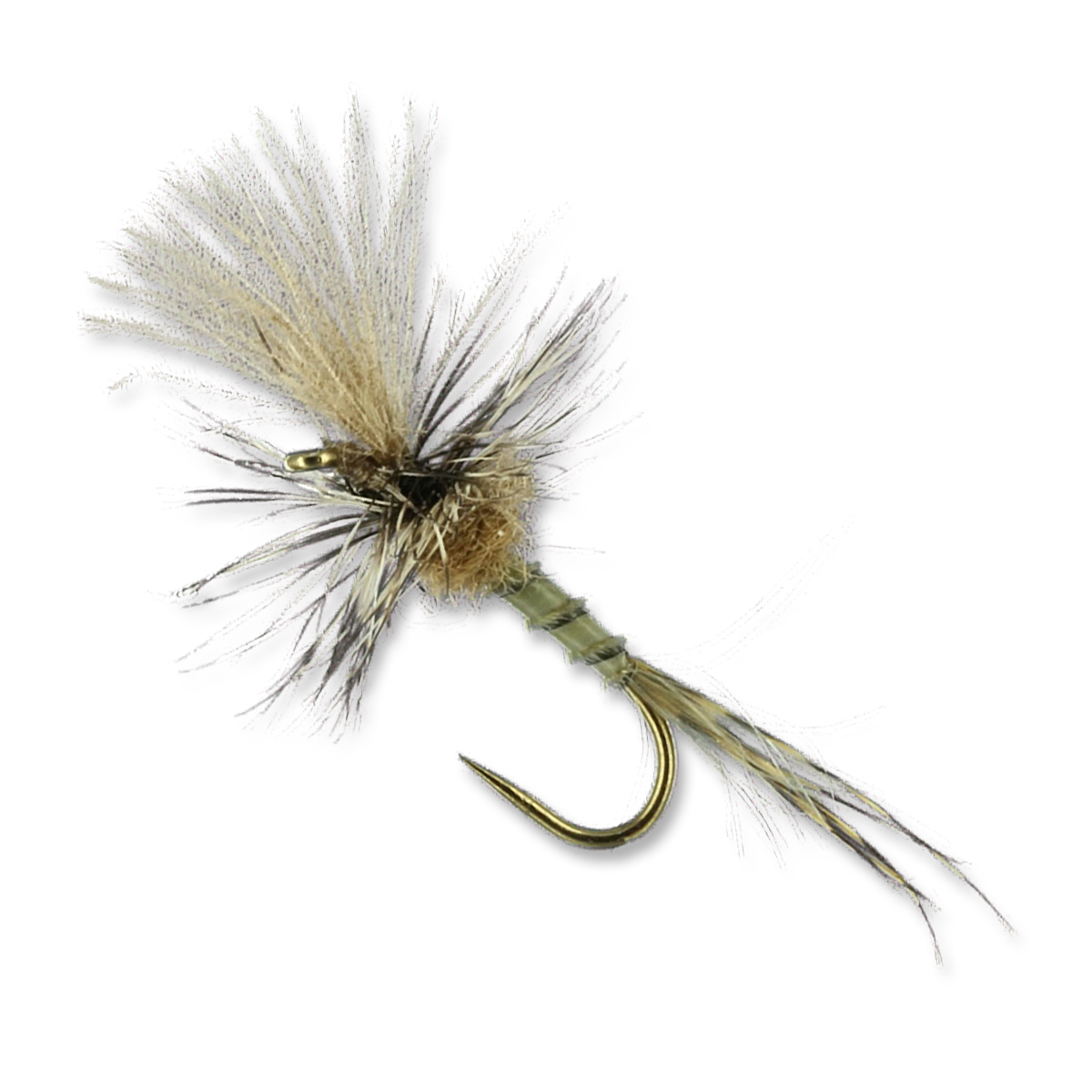 Harrop's Last Chance Cripple