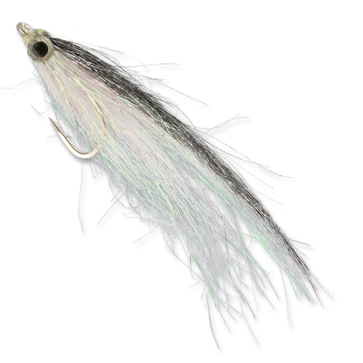 Los Roques Minnow - #2