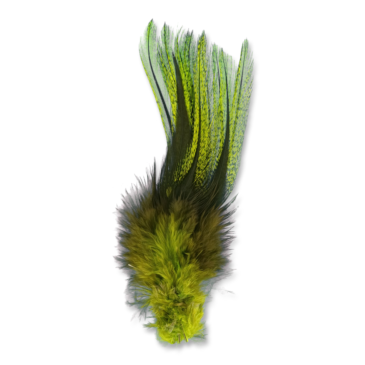 UV2 Coq De Leon Fire Tail Feathers