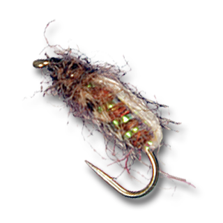 Bubbleback Caddis - #14