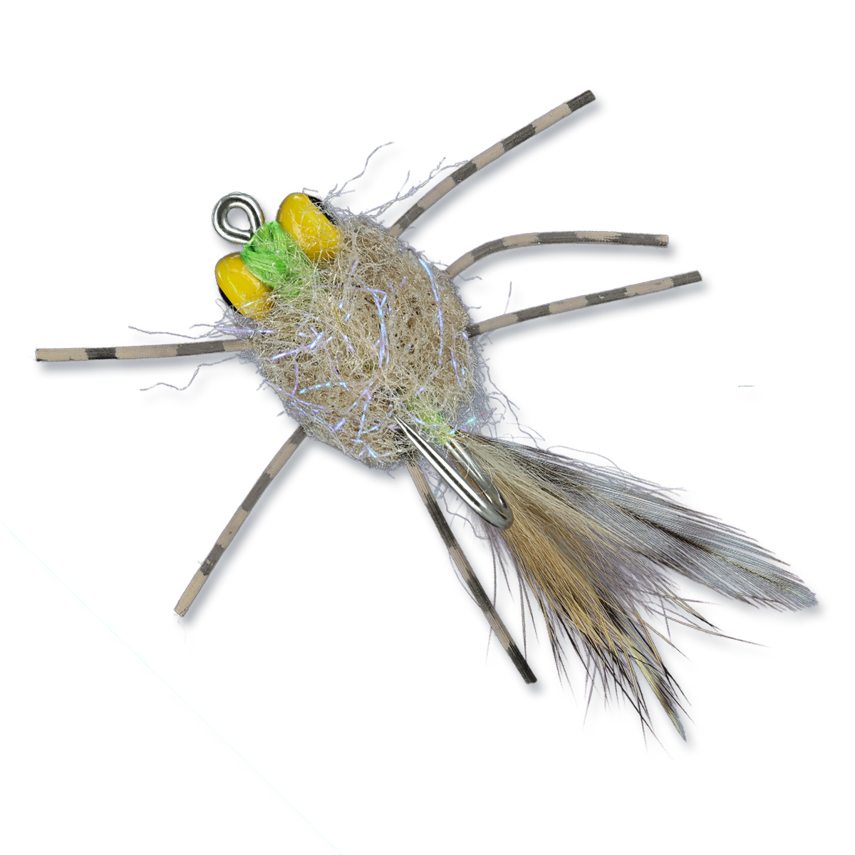 ESB Yellow Eye Raghead Crab - #2