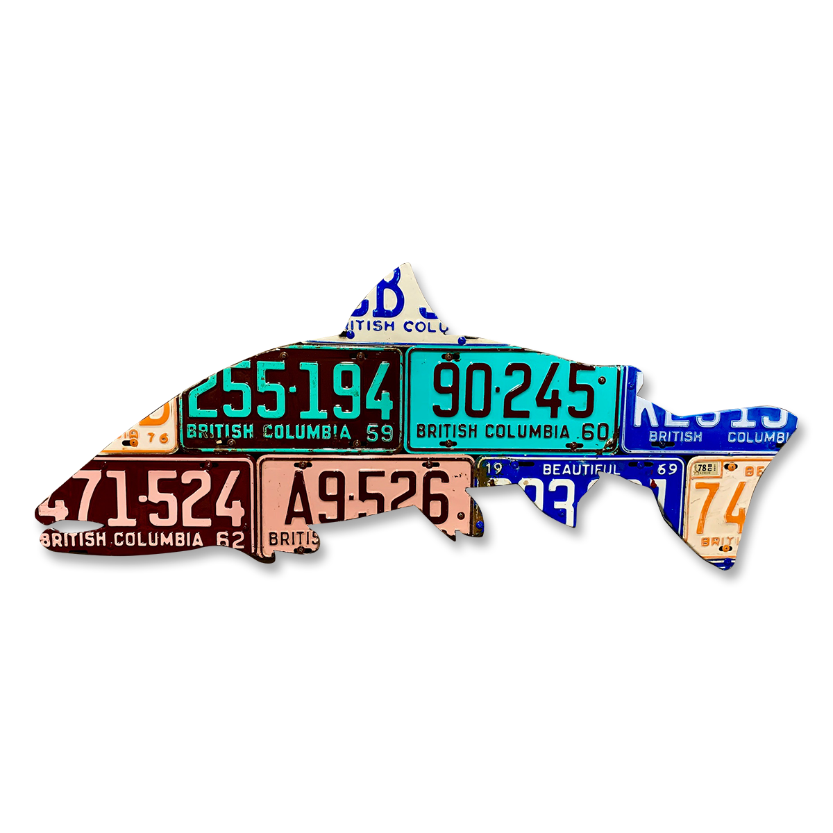 Cody's Fish License Plate Creations - BC Steelhead