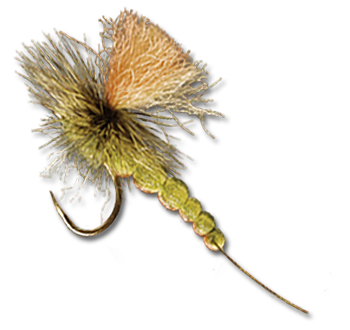 Mercer's Foam Dun Profile Green Drake - #12