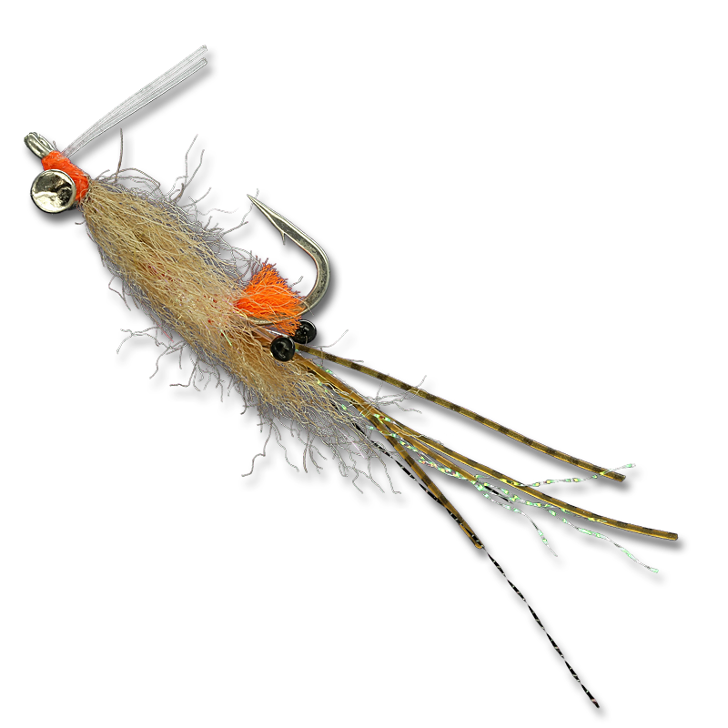 Enrico's Lead Eye Spawning Shrimp - #4