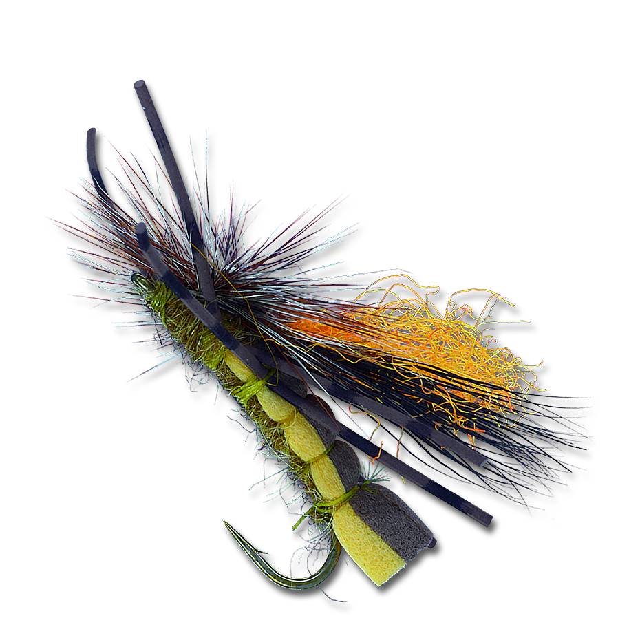 Double Dutch Bug - #10