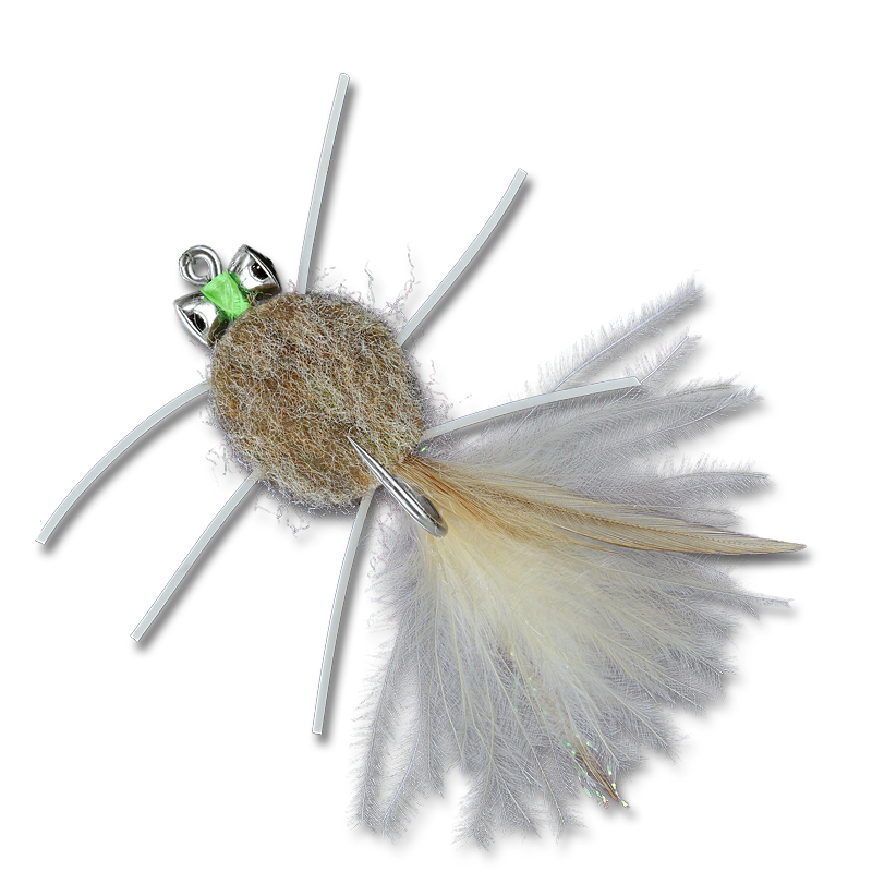 The Raghead Crab (Isley's)