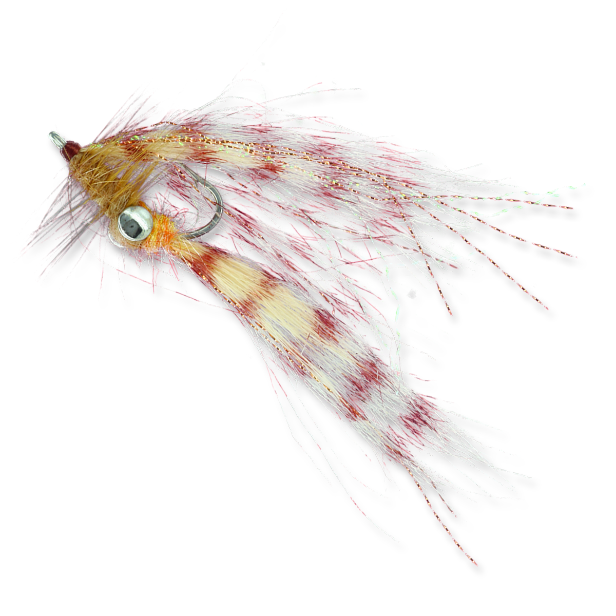 Crafty Shrimp - Lead Eye #2