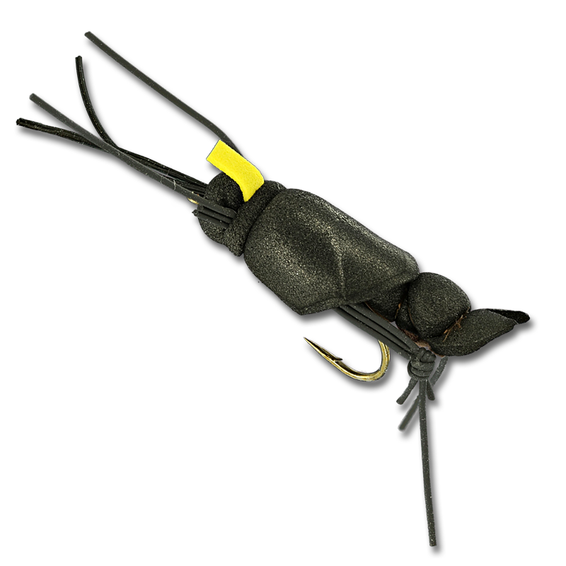 Big Secret Cricket - #10