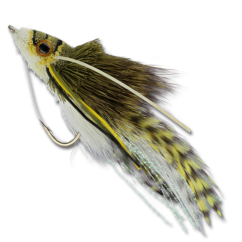 Whitlock's Swimming Frog