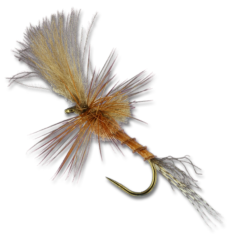 Harrop's Last Chance Cripple