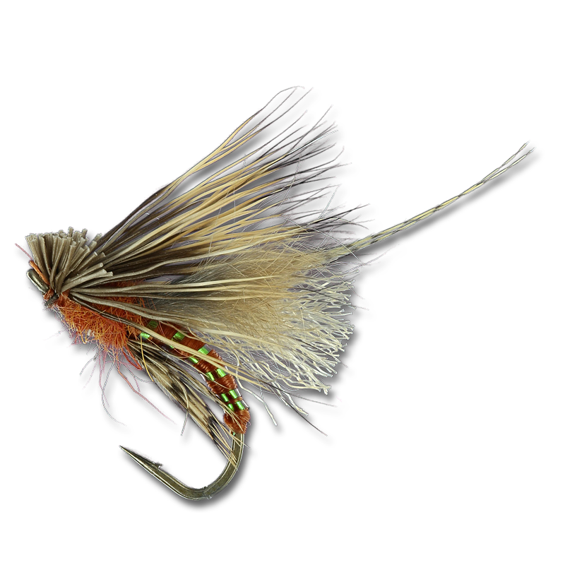 RK's Tangerine Caddis