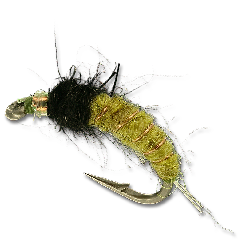 Andy's Afro Caddis - #14