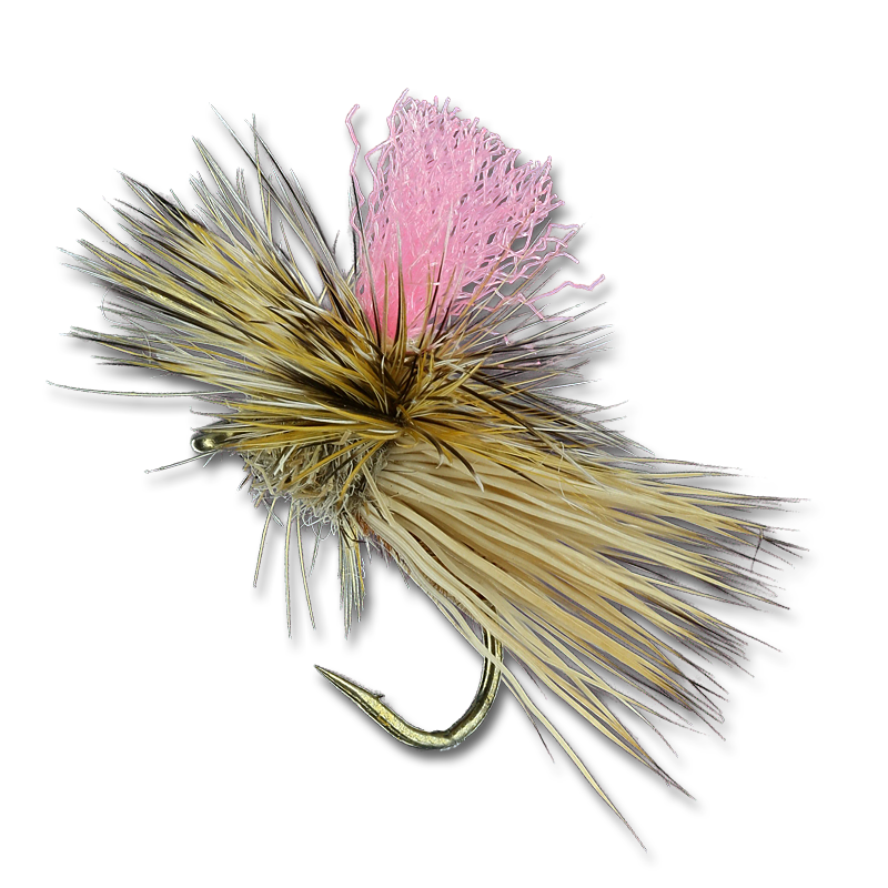 Bloom's Para Caddis