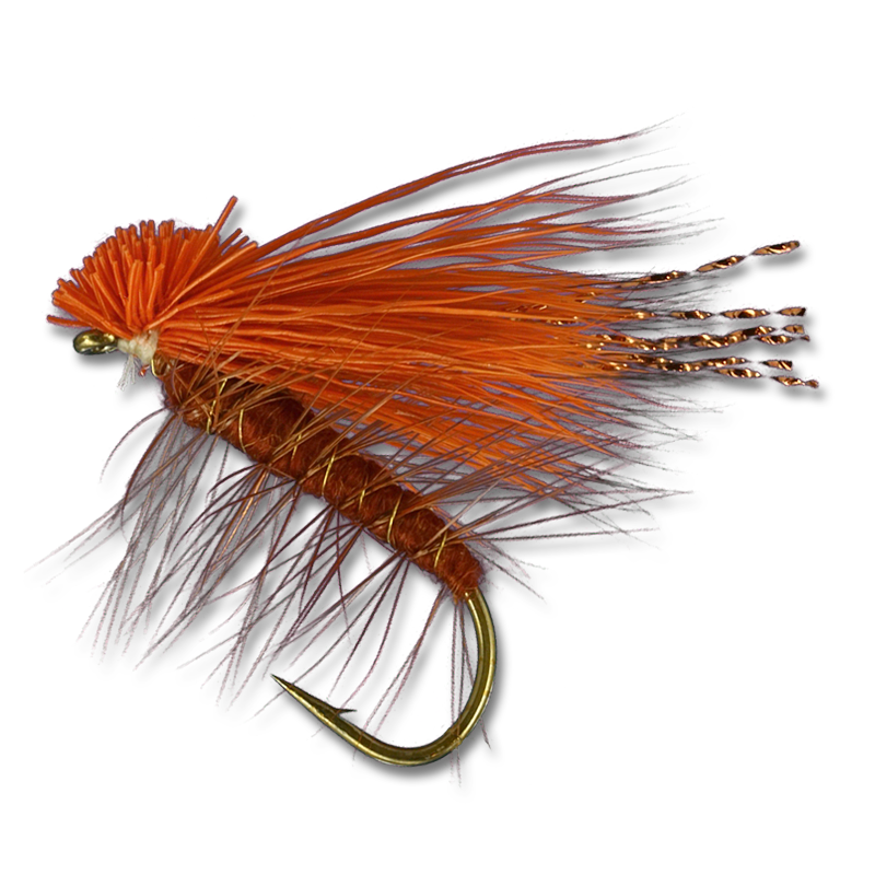 Potter's October Caddis - #8