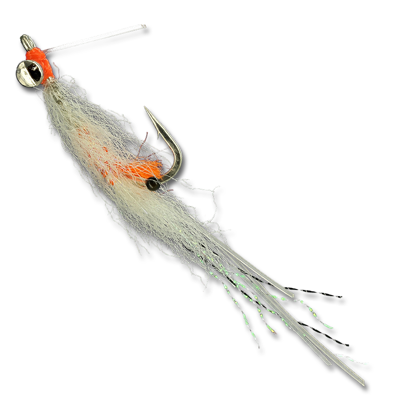 Enrico's Lead Eye Spawning Shrimp - #4