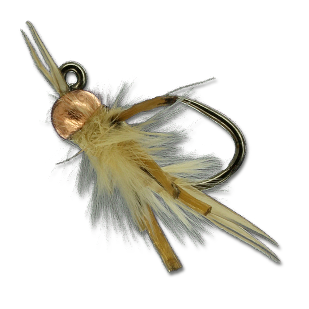 Jiggy Yellow Sallie Stone