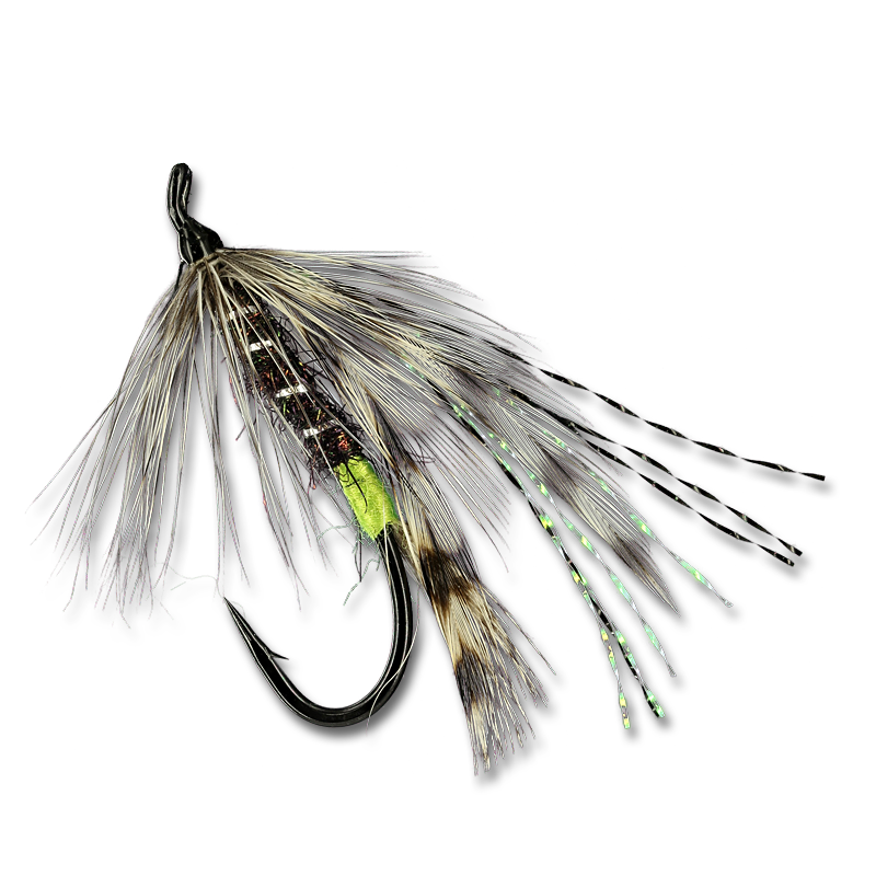 Green Butt Silver Hilton - #6