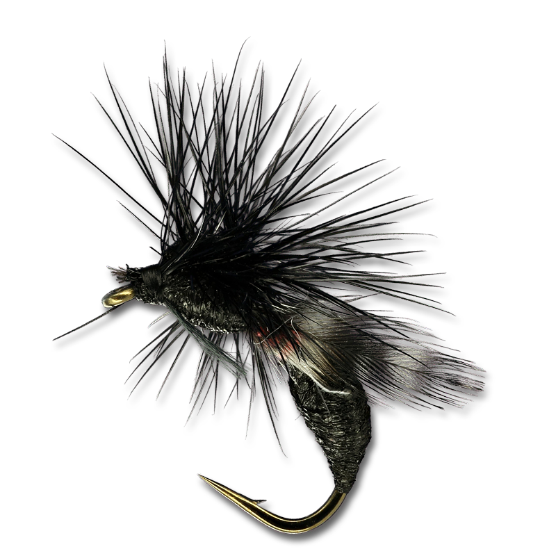 Powell's Ant RP - #14