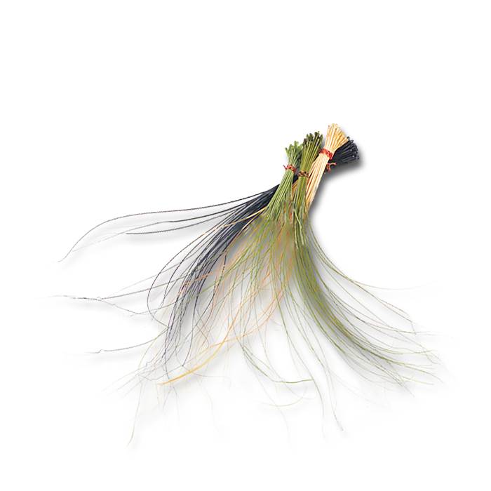 Stripped Hackle Quills