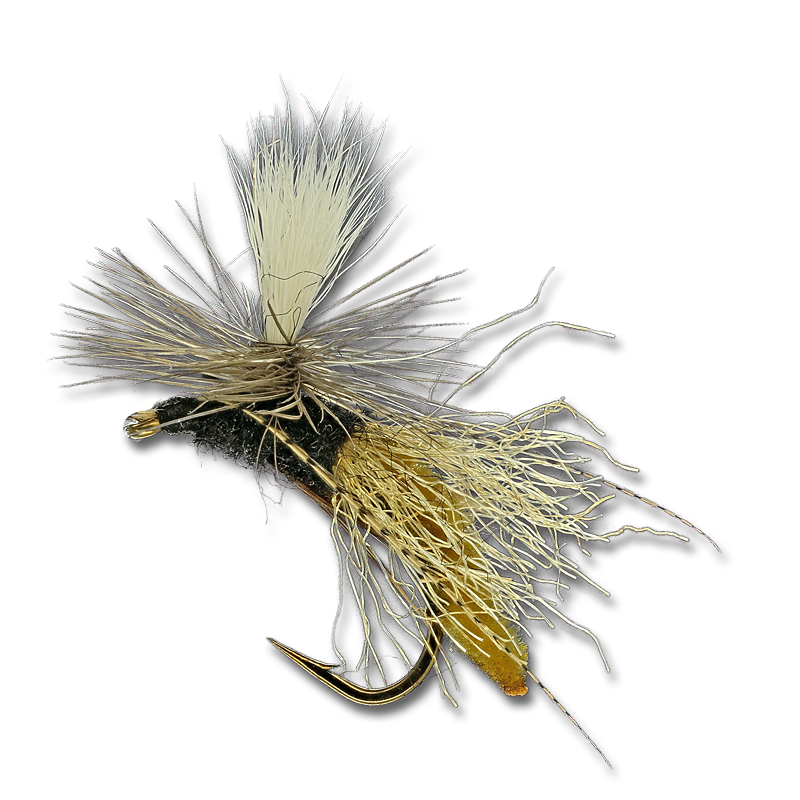 Spotlight Caddis Emerger