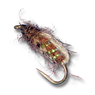 Bubbleback Caddis - #14