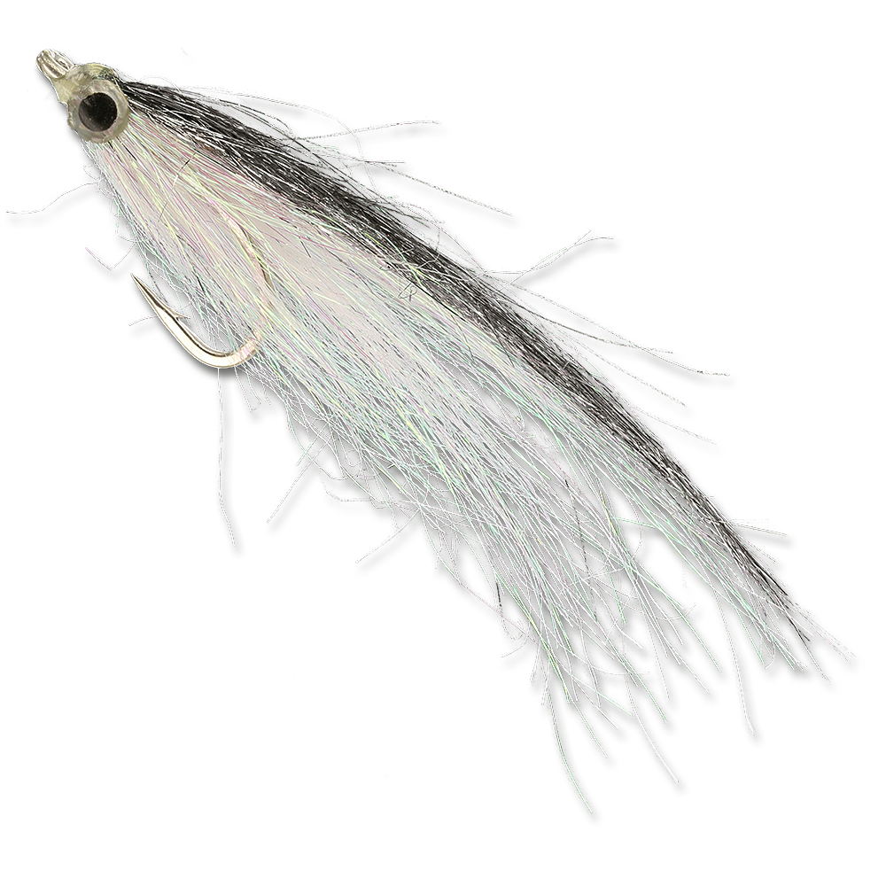 Los Roques Minnow - #2