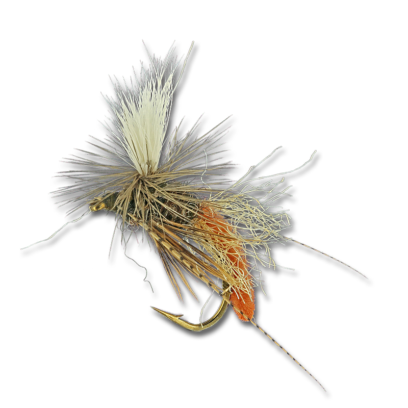 Spotlight Caddis Emerger